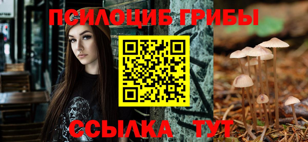 Псилоцибиновые грибы GOLDEN TEACHER Щёлково