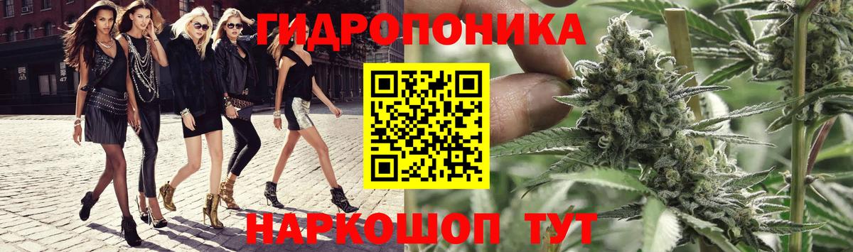 Шишки марихуана план  МАРИХУАНА Ganja  Каннабис Amnesia  Вход с VPN  Щёлково 